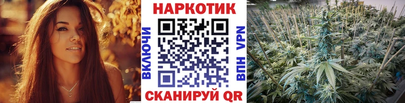 Сколько стоит Владимир MDMA  Конопля  Псилоцибиновые грибы  КОКАИН  APVP 