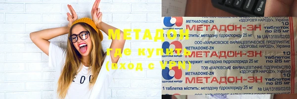 мдпв Гусев