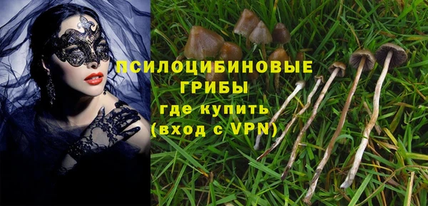 мяу мяу мука Алексин